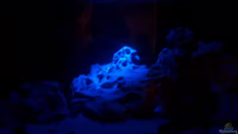 bei Monlicht von babyschlumpf (3)