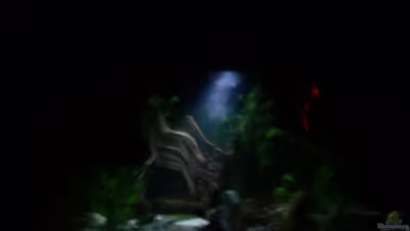 Bei Nacht Mondliche von Steffen Rübsam (7)