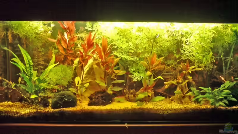 Bei Nacht von Achim Dengler (10)