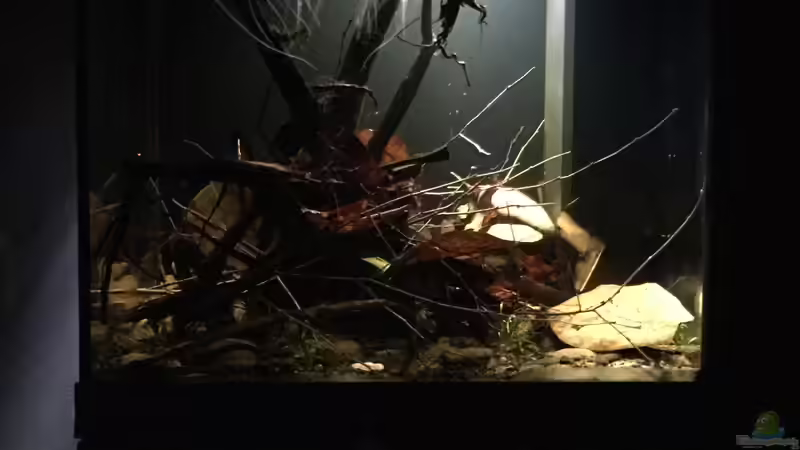 Bei Nacht von Andy Garnier (2)