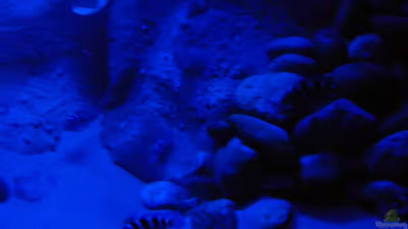 Bei Nacht von Mathias Kern (17)