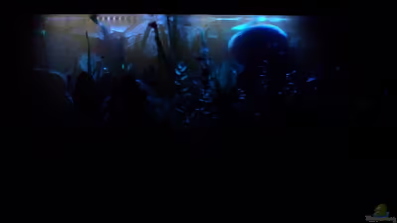 Bei Nacht von TetraMike (9)