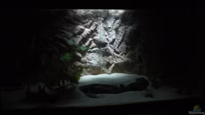 Bei Nacht von vorne von Eichi82 (4)