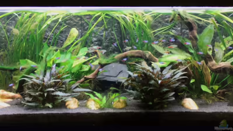 bei Tag von GothRiderz (1)