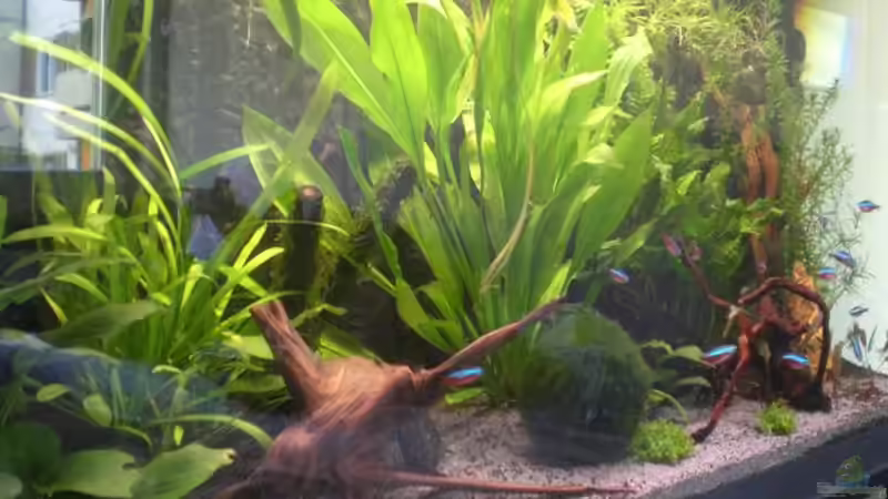 Bei Tag von smapo (2)