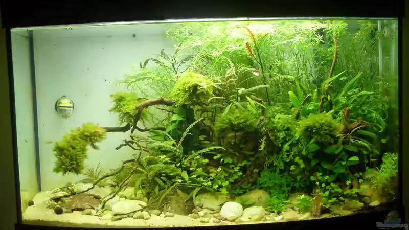 Bei Tageslicht 18.03.2014 von Martin W. (4)