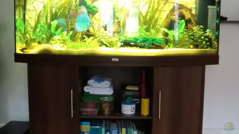 bei Tageslicht 23.01.2011 von Sirko Fricke (18)