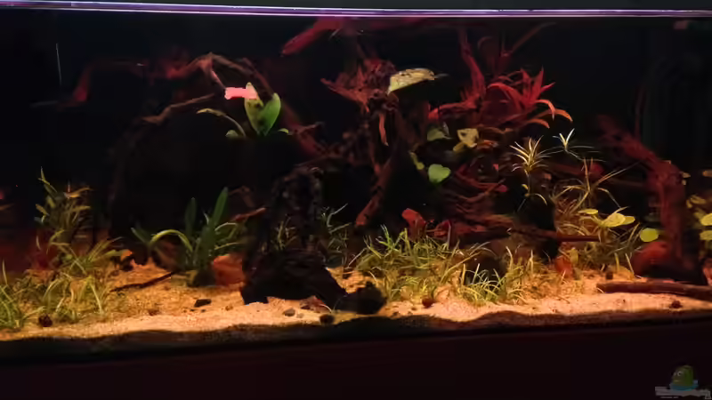 bei Wolkensimulation von lützkopf (2)