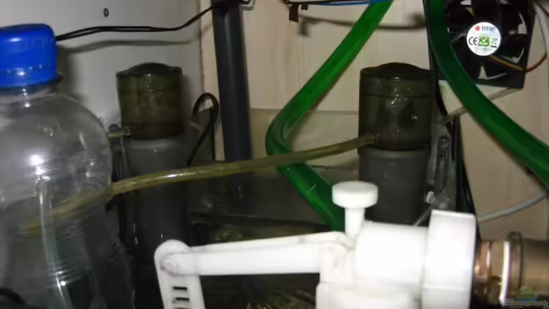 beide Abschäumer in Betrieb von Christian Schneider (28)