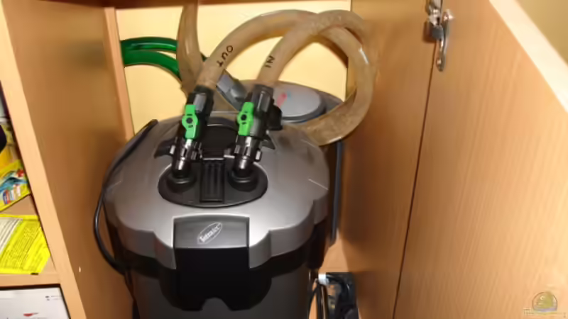 Beide Filter Eheim & Teratec von Dirk Linke (16)