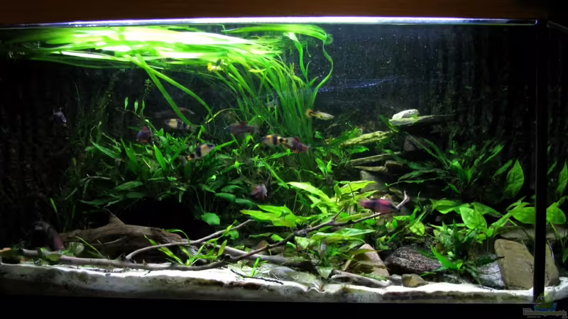 Beide LED sind an von Lixa (1)