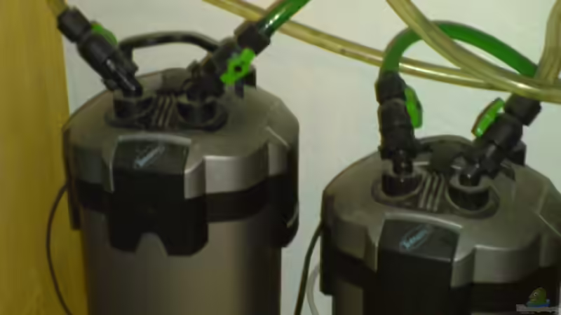 Beide Pumpen von Kai Heermann (28)