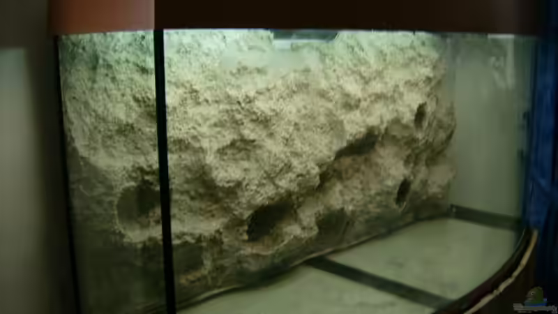 beim Bau der Rückwand / zu sehen die Höhlen die in der Rückwand eingebaut sind von Belvina (2)