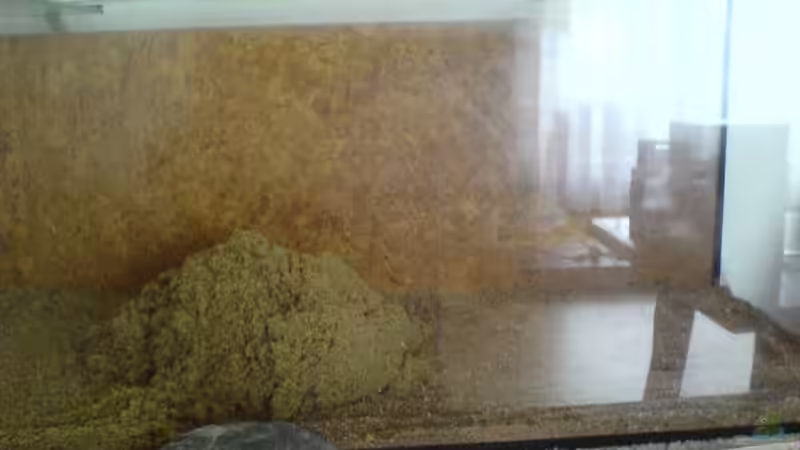 beim befüllen von Franz Berger (2)