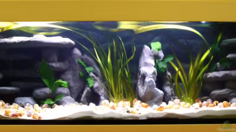 Beim Einfahren von Miriam (8)