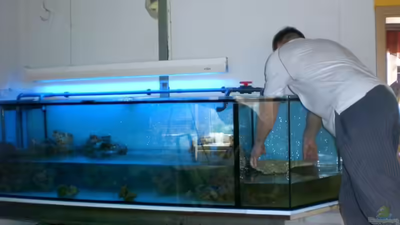 beim einräumen, dekorieren, schön solls werden von Lessi (4)