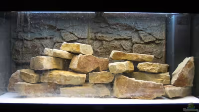 Beim Einrichten..., 27.03.08 (nicht aktuelle Einrichtung) von Patrick Bärenfaller (2)