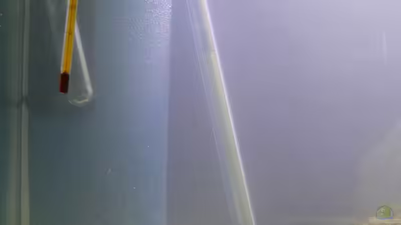 Beim Einrichten  von René Leubecher (14)