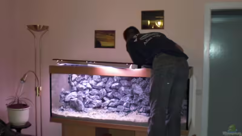 beim einrichten von bl@cky is b@ck (3)