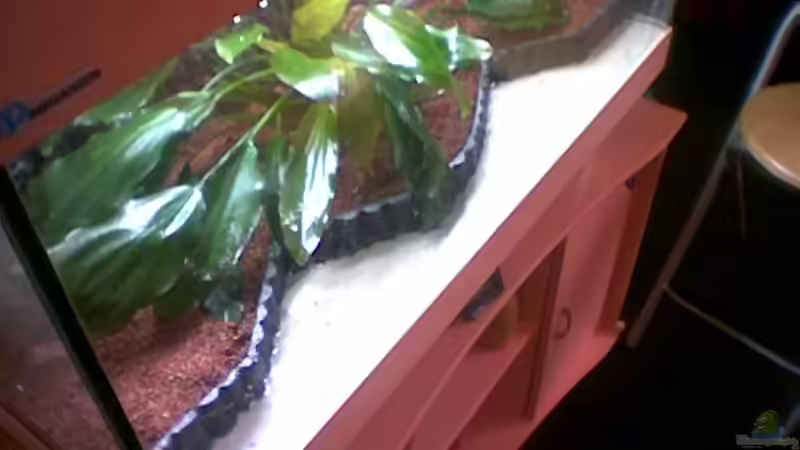 beim einrichten von Freddy Burghartz (4)