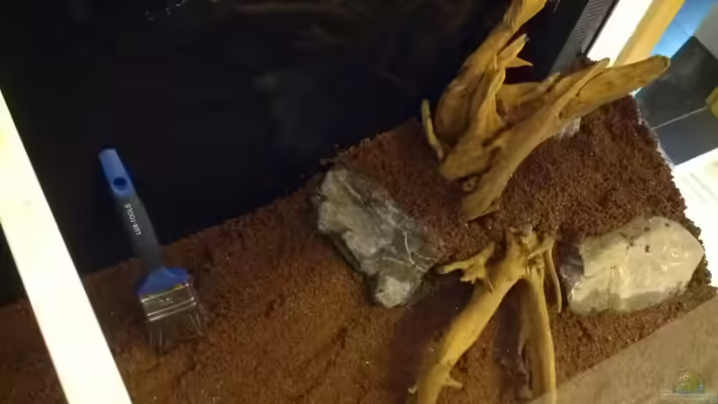 beim einrichten von Monopoly (5)