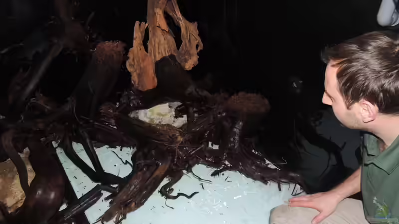 beim einsetzen der moorkien von Nico Beyer (19)