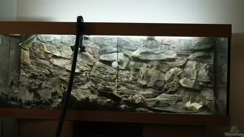 beim einsetzten der rückwand von Steffen Kluge (2)