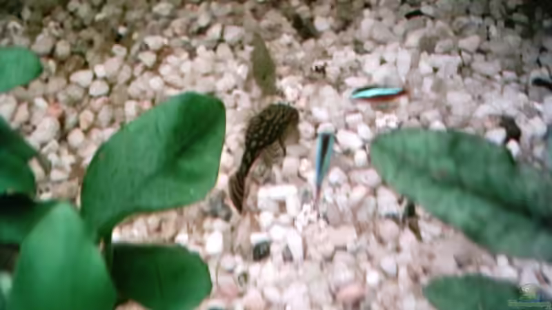 Beim Essen ;-)! von Christina Betz (6)