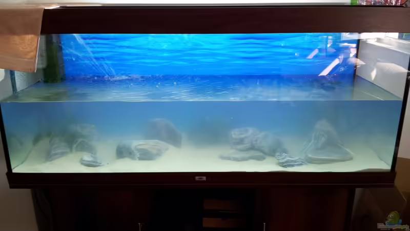 Beim Füllen von Marcus_mck (4)