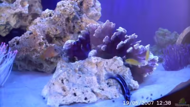 beim füttern von Sabine Krüger (5)