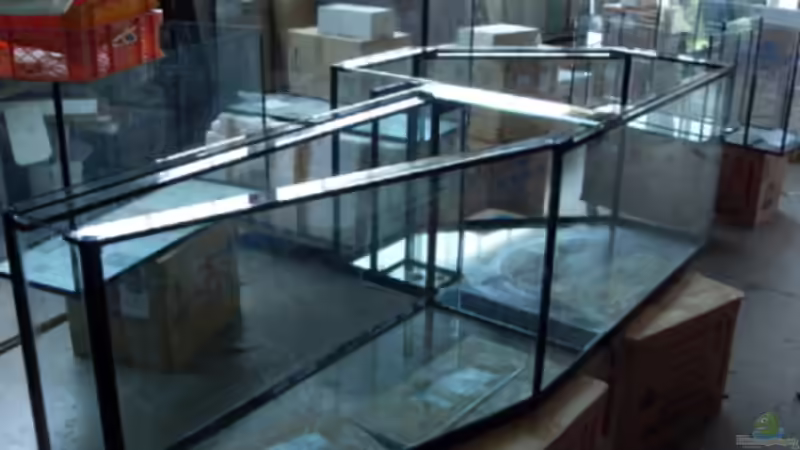 beim Händler von Mats (4)