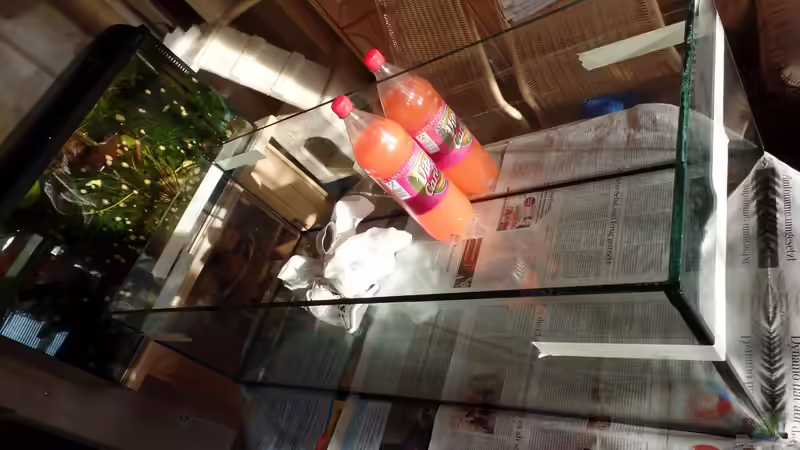 beim kleben von raubsau (2)