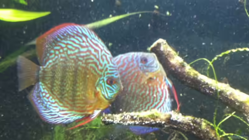 Beim leichen ;) 22.10.2011 von Dani B (43)