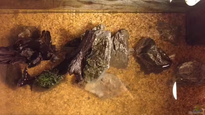 beim neueinrichten von ulli85 (4)