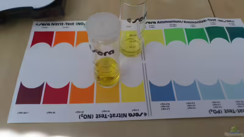 Beim Testen von Kai Heermann (25)