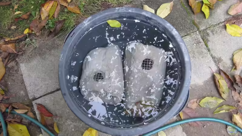 Beim wässern von HessiJames (13)