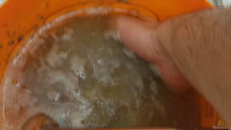 Beim waschen von Tiburón (32)