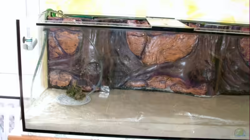 beim Wasser einlassen... von cupra2009 (2)