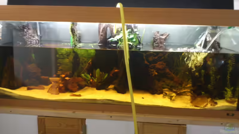 Beim Wasserwechsel von Kai Heermann (30)