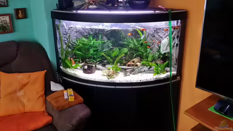 beim Wasserwechsel von Steffen und Felix (61)