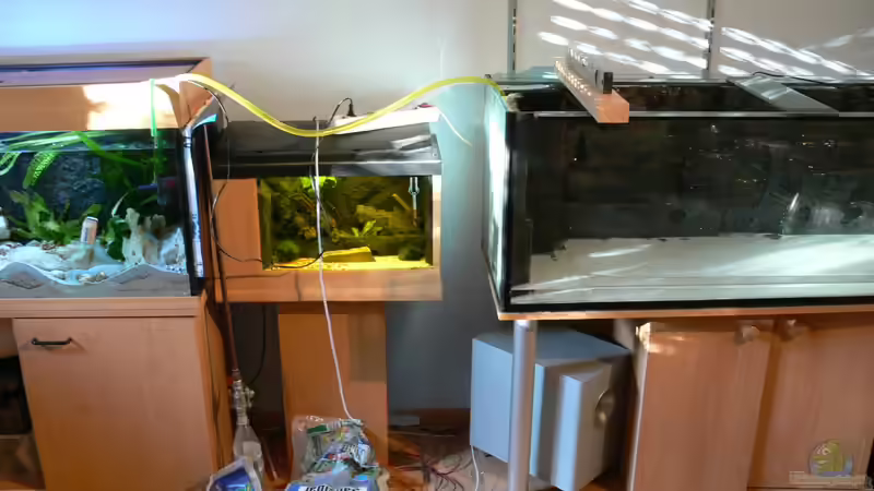 Beim Wasserwechseln^^ 13.01.2013 von DominikZ (3)