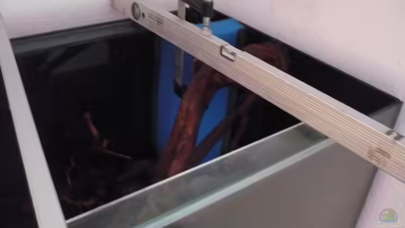 Beim Wurzeln einkleben von Der Dortmunder (8)