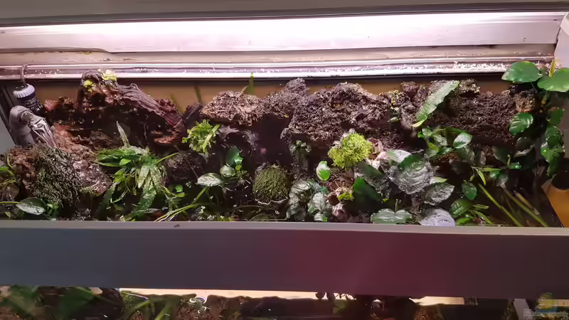 Beim Ww mal ne andere perspektive von Nelly (14)