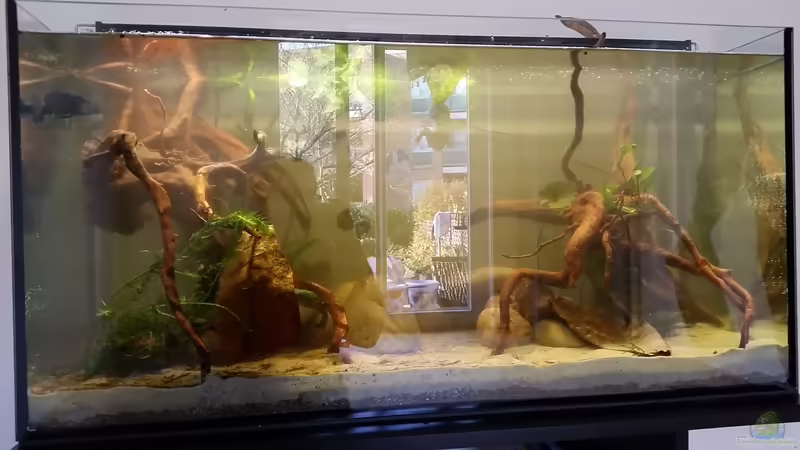 Beinahe fertig von southheart (18)