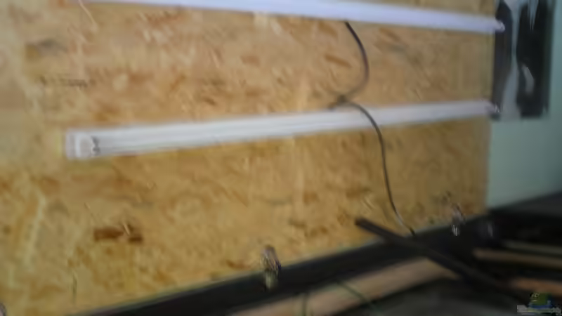 Beleichtung auf den linken 2Meter von Peter Bauer (7)