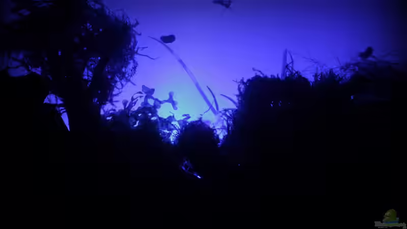 beleuchtete Rückwand von SouthAmerica (57)