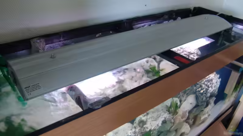 Beleuchtugn ( is aber in wirklichkeit einiges dunkler. Bild is zu hell :) von Fabian Lehmann (12)