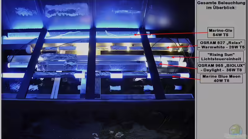 Beleuchtung... (kommt noch neu, da überarbeitet...) :-) von ***ELLIS*** (49)