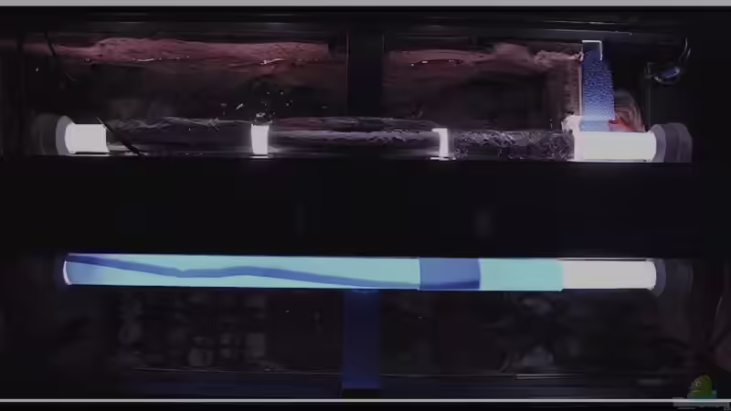 Beleuchtung... von ***ELLIS*** (34)