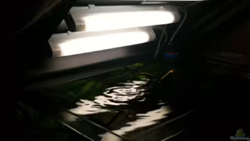 Beleuchtung + Heizung von Flevus (11)